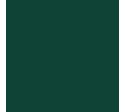 RAL 6005 