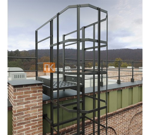 Пожарная лестница П1-2 с площ. 800х800 ОЦ L=8400мм ГОСТ 53254-2009